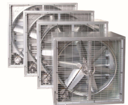 ��֪����ʲôؓ(f��)���L(f��ng)�C(j��)���a(ch��n)�������